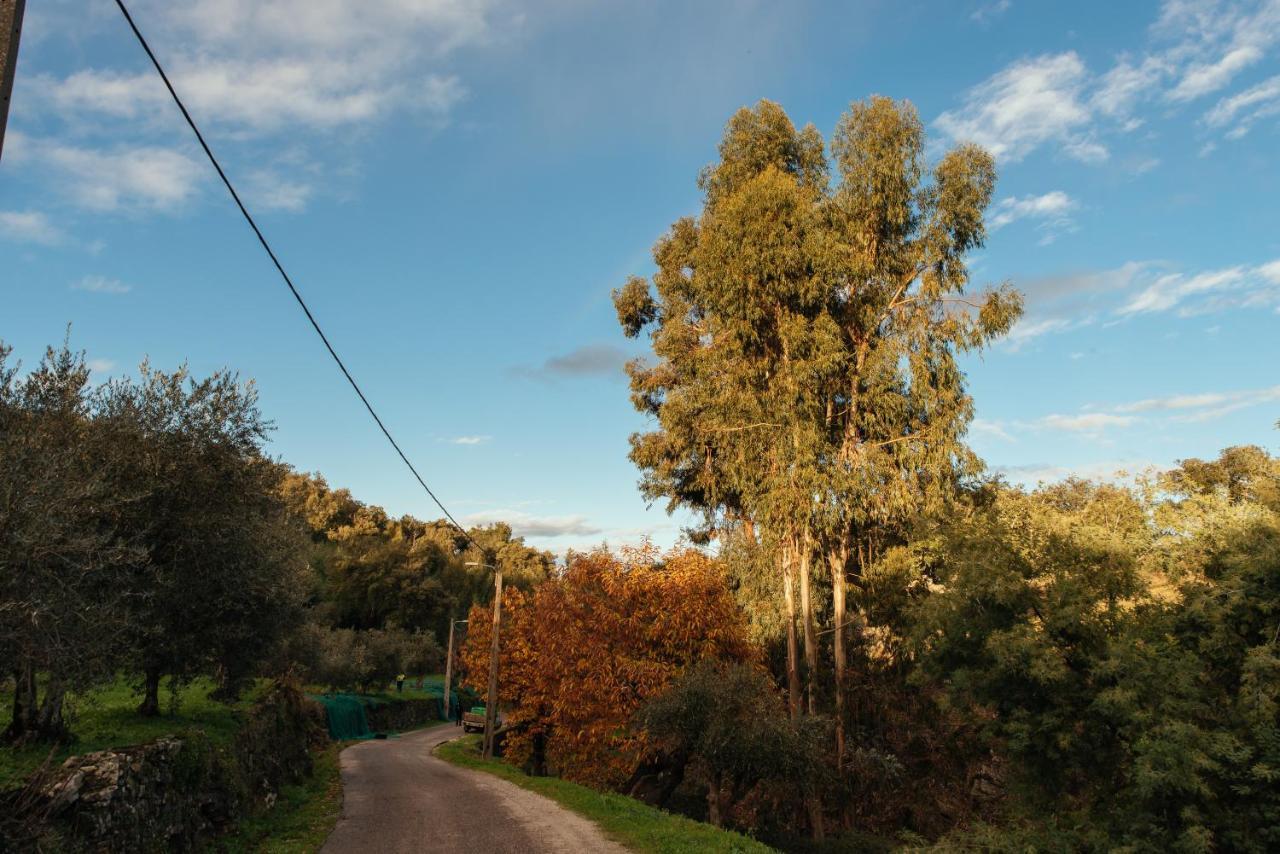 Vila Azeite De Marvao, Olivoturismo Casa Venda Do Lagar Exteriér fotografie